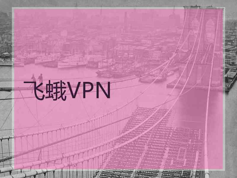 飞蛾VPN