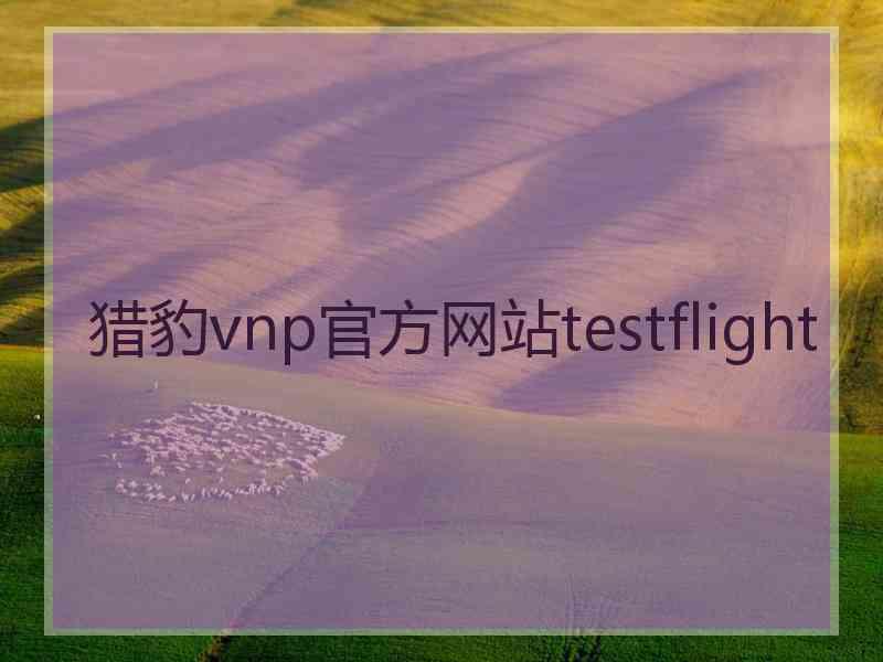 猎豹vnp官方网站testflight