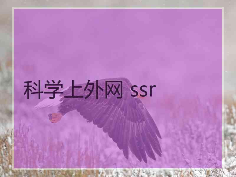 科学上外网 ssr