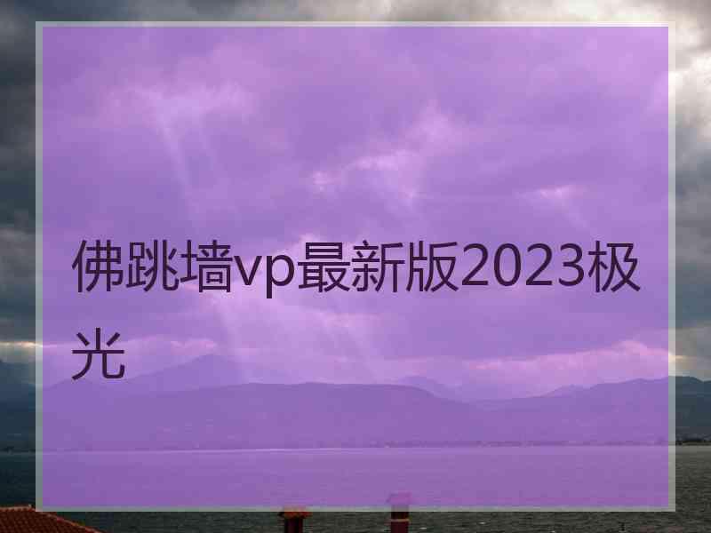 佛跳墙vp最新版2023极光