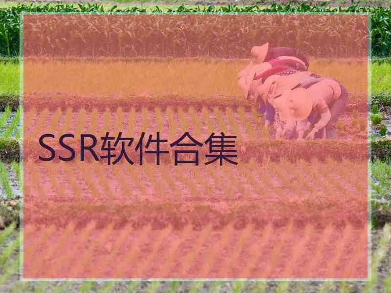 SSR软件合集