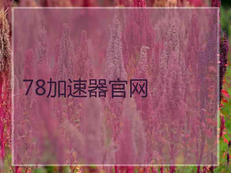 78加速器官网