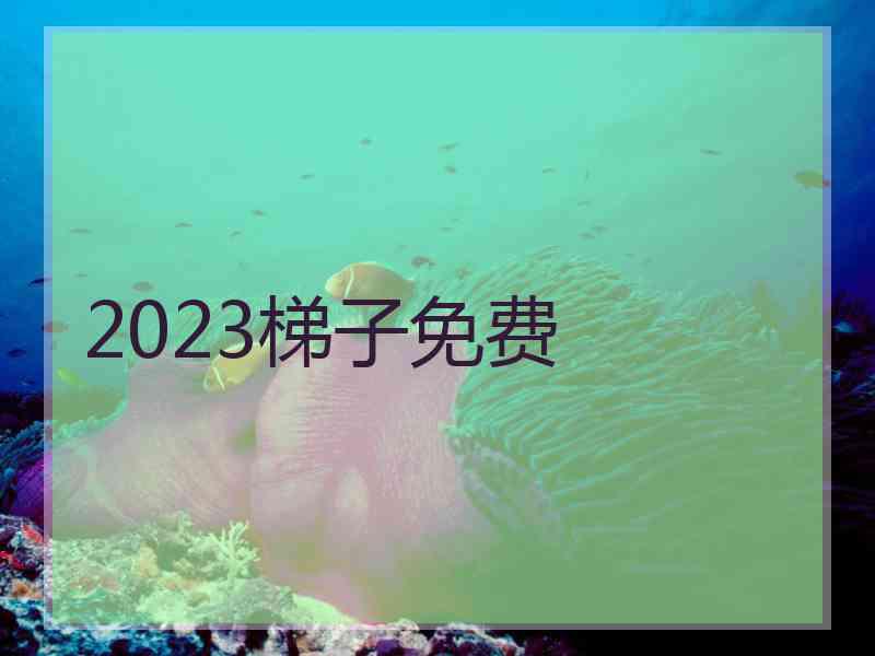 2023梯子免费