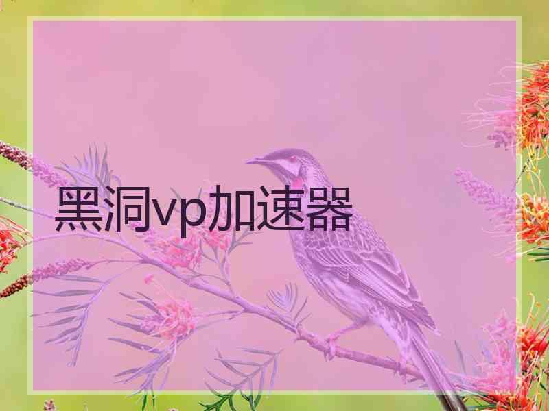 黑洞vp加速器