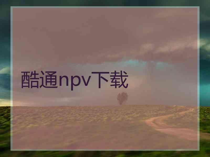 酷通npv下载