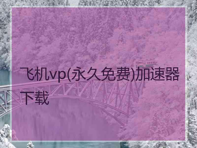 飞机vp(永久免费)加速器下载