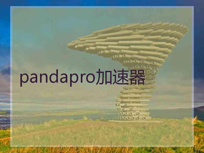 pandapro加速器