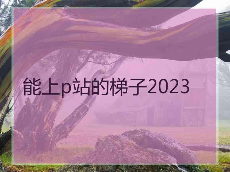 能上p站的梯子2023