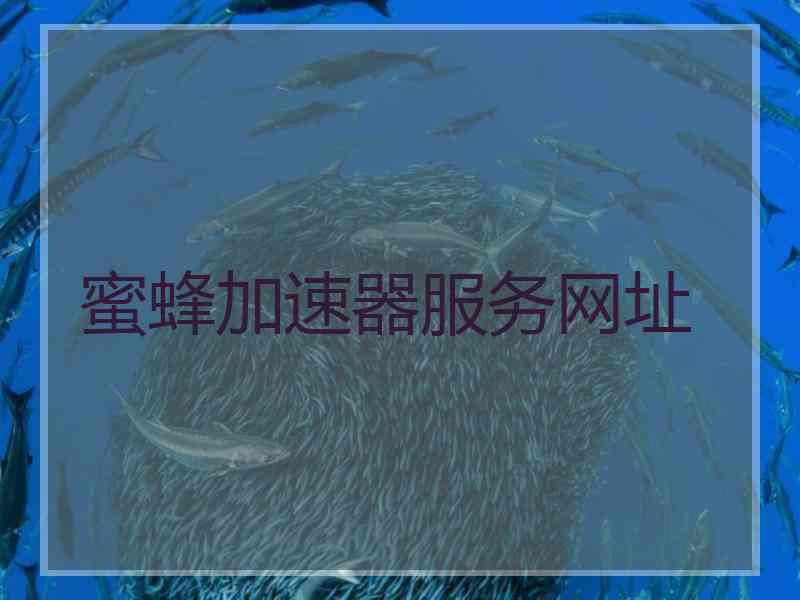 蜜蜂加速器服务网址