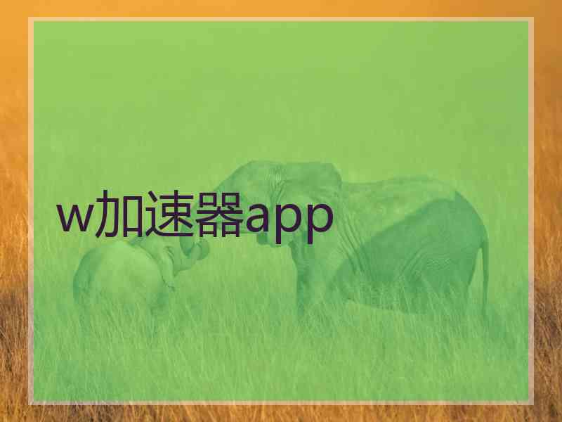 w加速器app