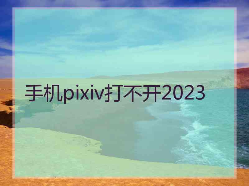 手机pixiv打不开2023