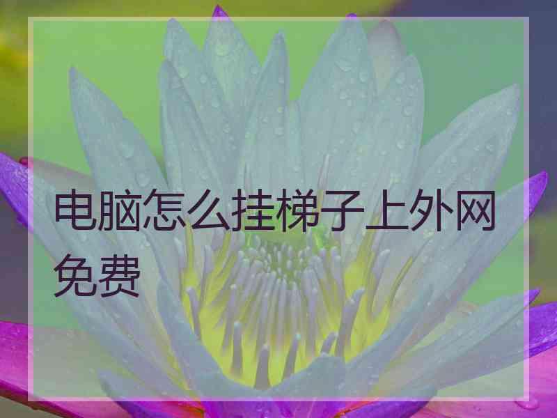 电脑怎么挂梯子上外网免费