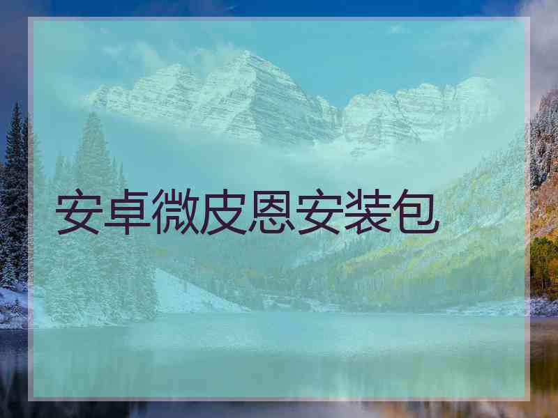 安卓微皮恩安装包