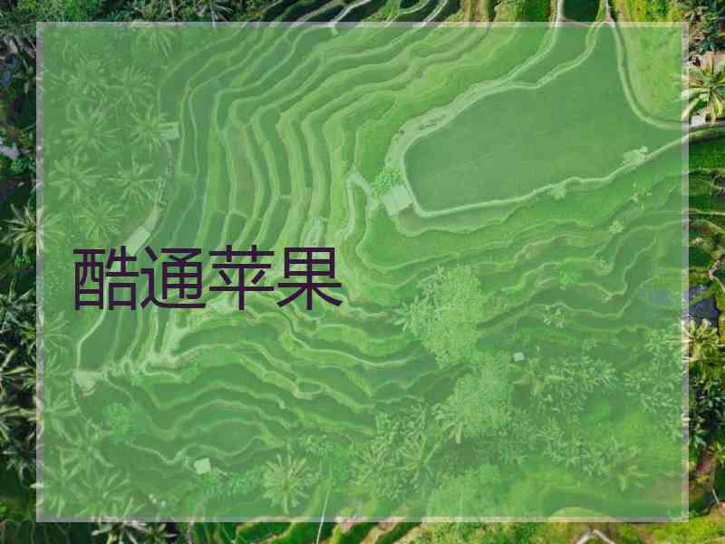 酷通苹果