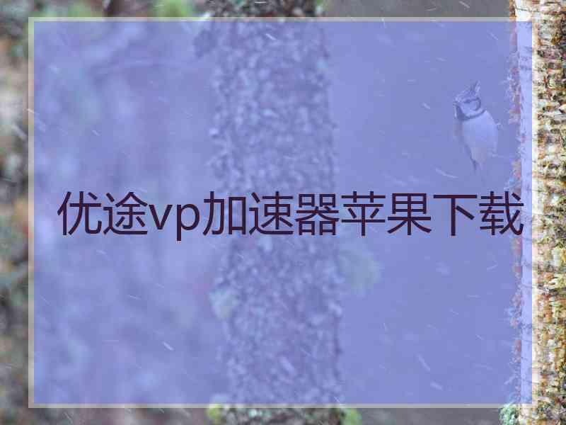 优途vp加速器苹果下载