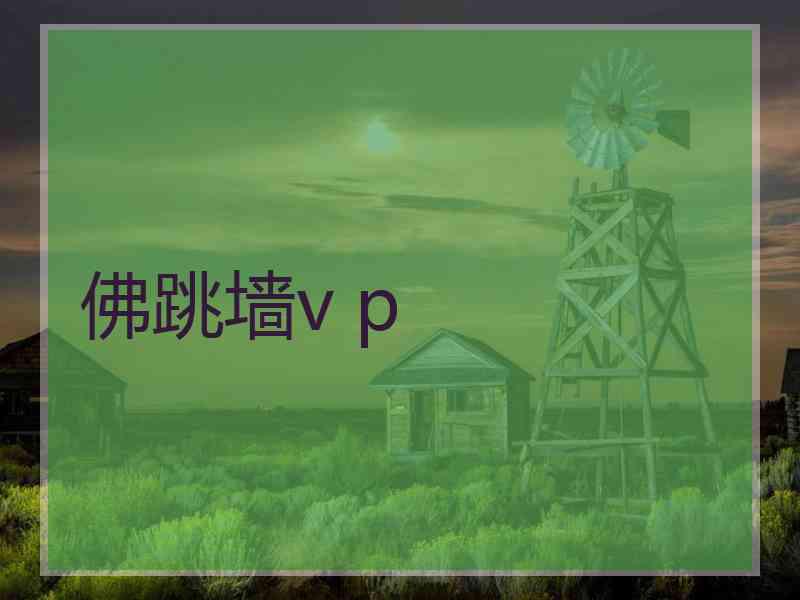 佛跳墙v p