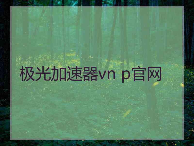 极光加速器vn p官网