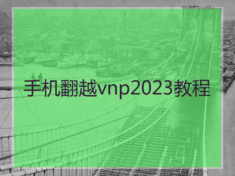 手机翻越vnp2023教程