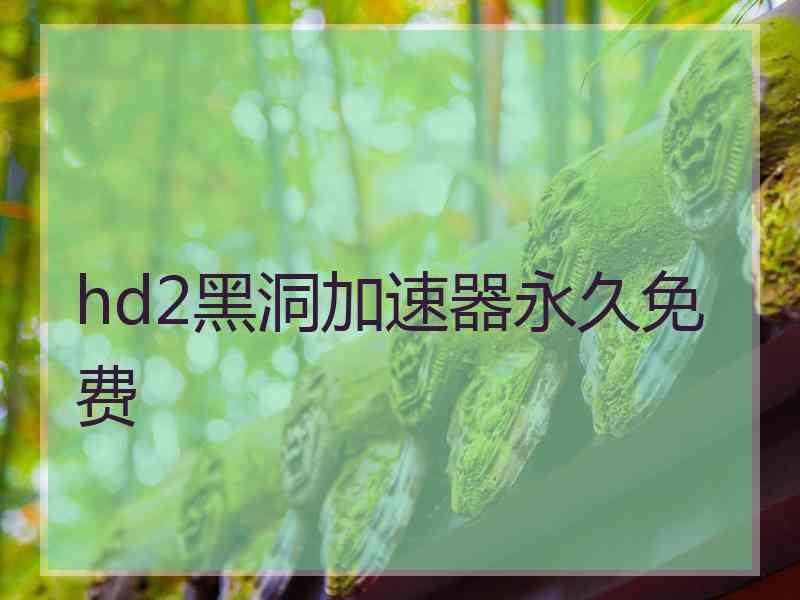 hd2黑洞加速器永久免费