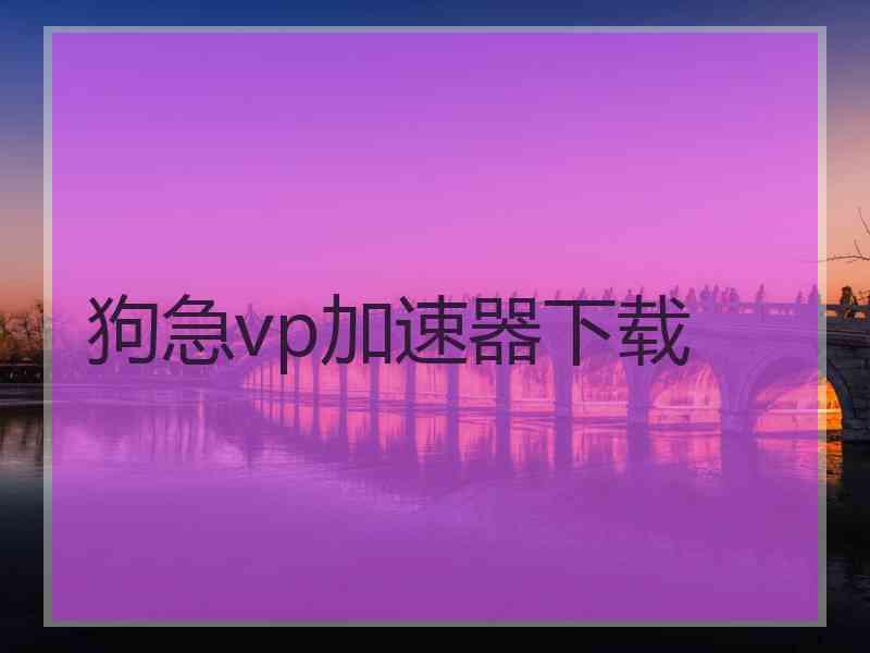 狗急vp加速器下载