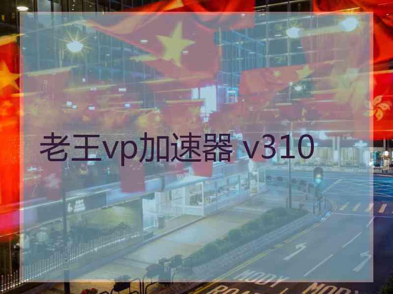 老王vp加速器 v310