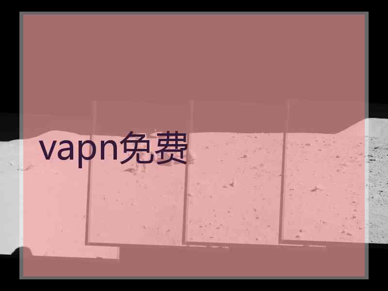 vapn免费