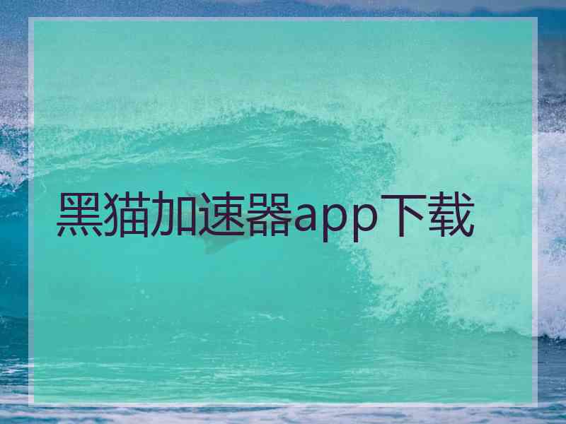 黑猫加速器app下载