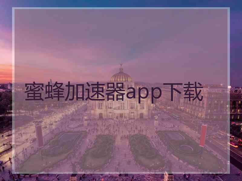 蜜蜂加速器app下载