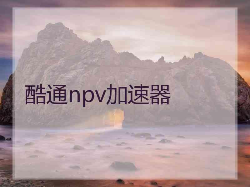 酷通npv加速器