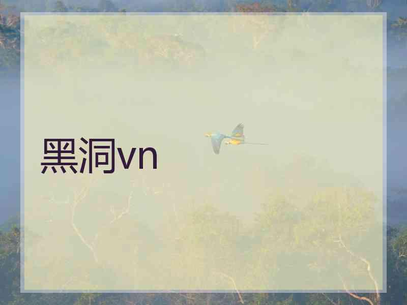 黑洞vn