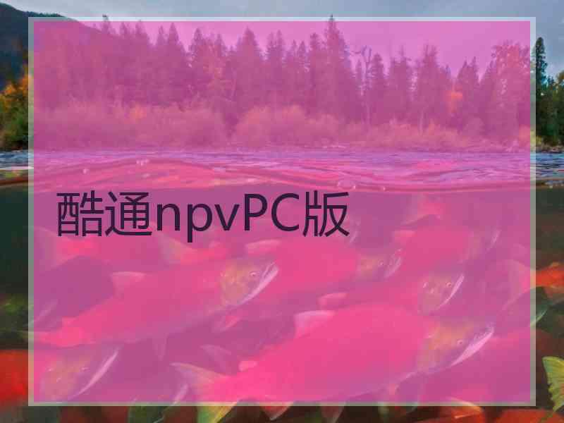 酷通npvPC版