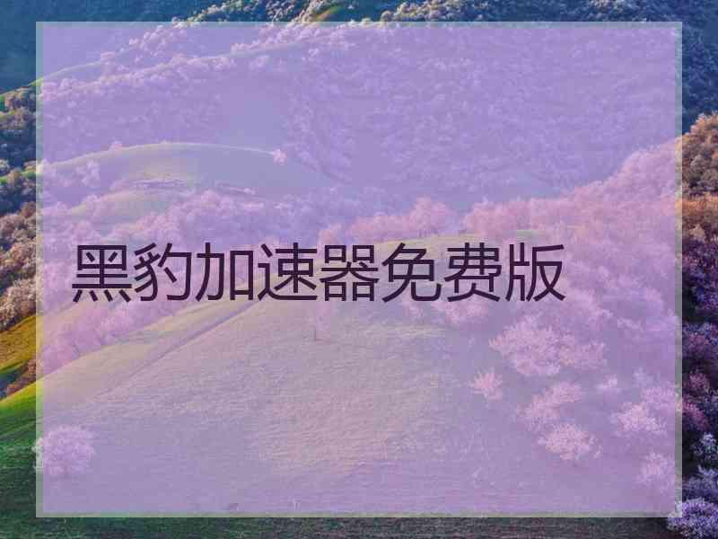 黑豹加速器免费版