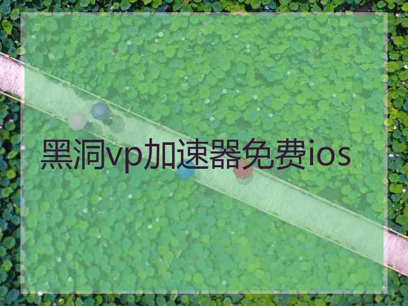 黑洞vp加速器免费ios