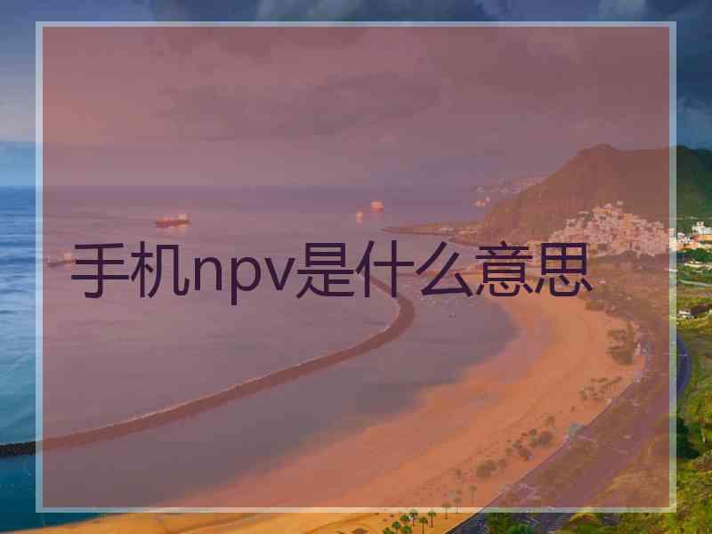 手机npv是什么意思