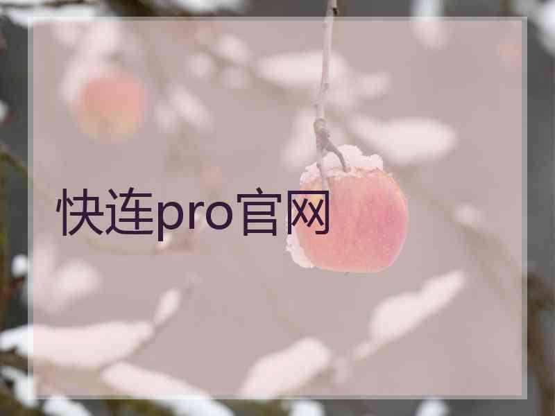 快连pro官网