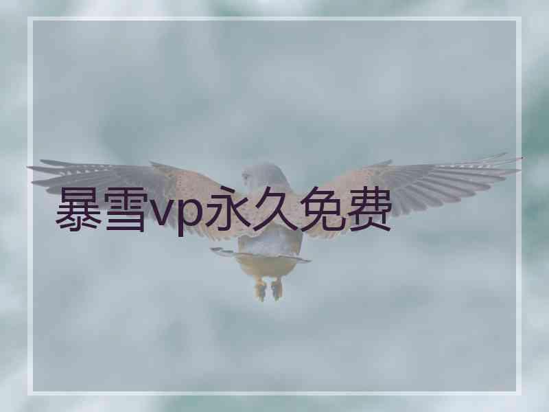 暴雪vp永久免费