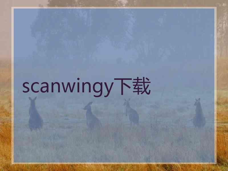 scanwingy下载