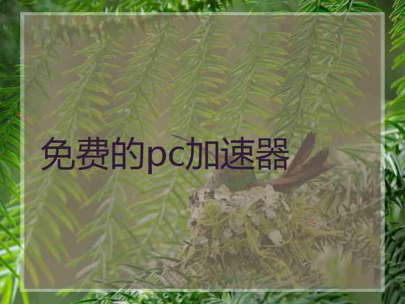 免费的pc加速器