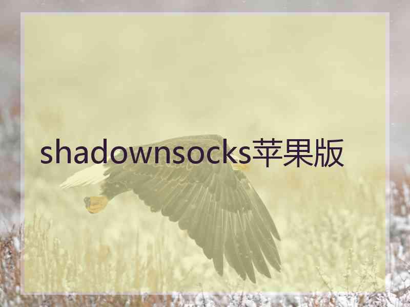 shadownsocks苹果版