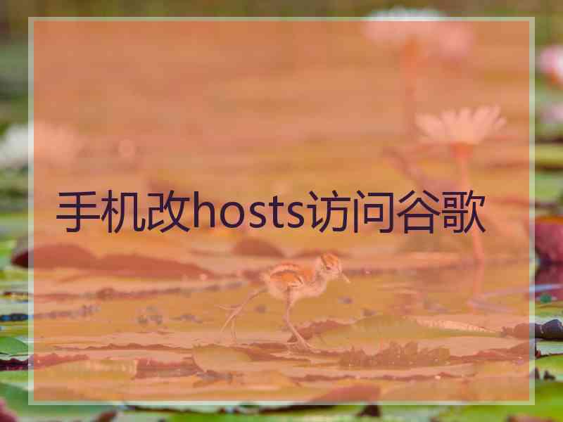 手机改hosts访问谷歌