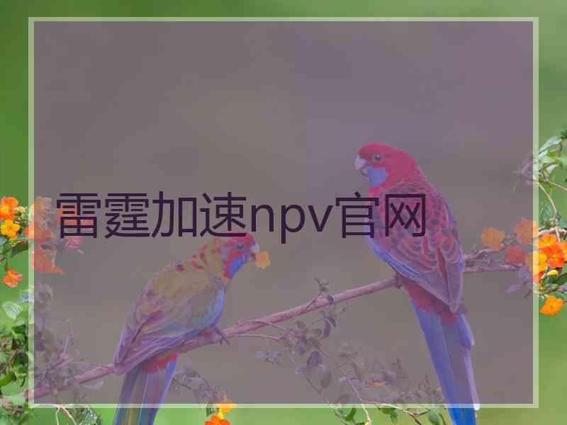 雷霆加速npv官网