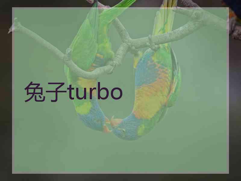 兔子turbo