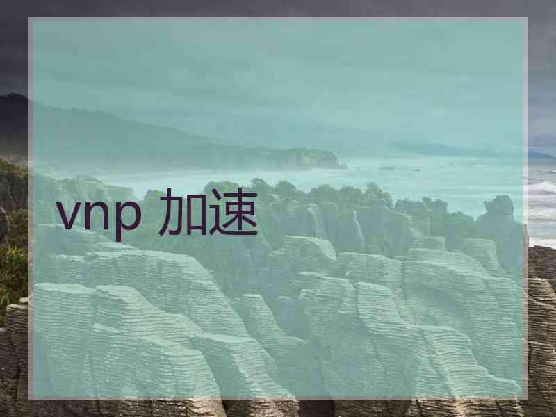 vnp 加速