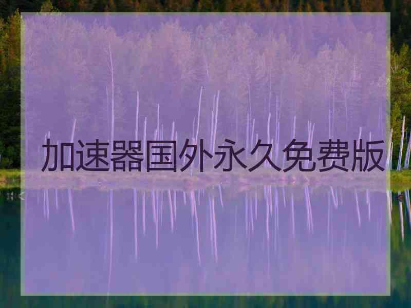 加速器国外永久免费版