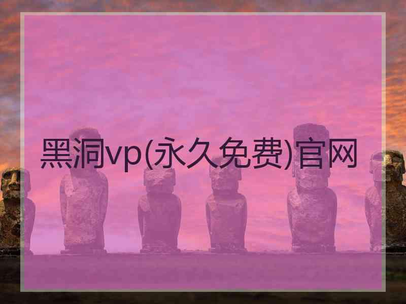 黑洞vp(永久免费)官网