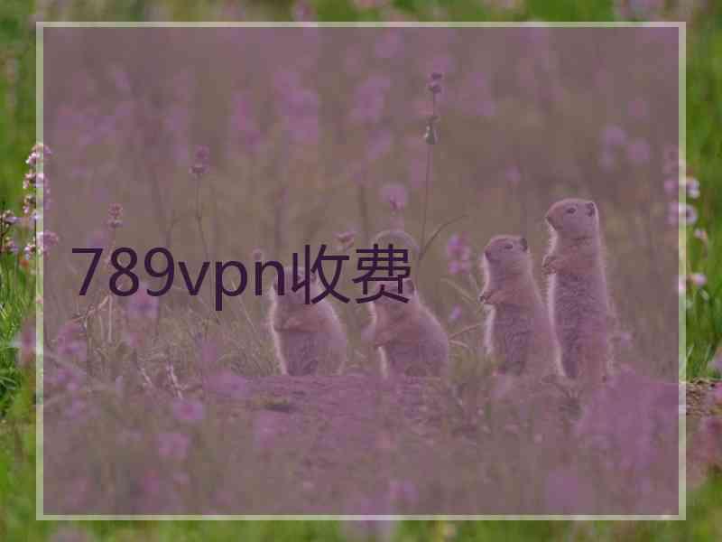 789vpn收费