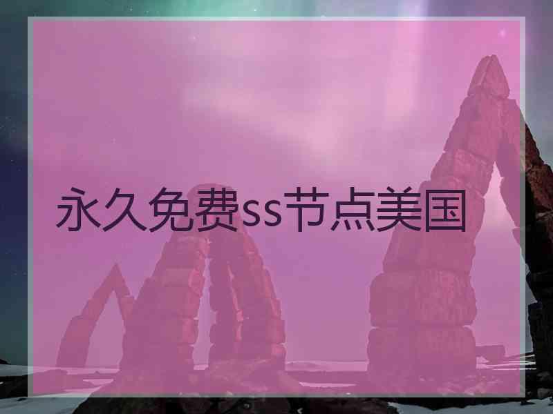 永久免费ss节点美国