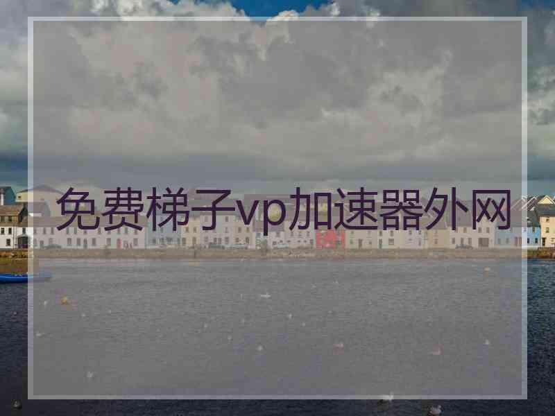 免费梯子vp加速器外网