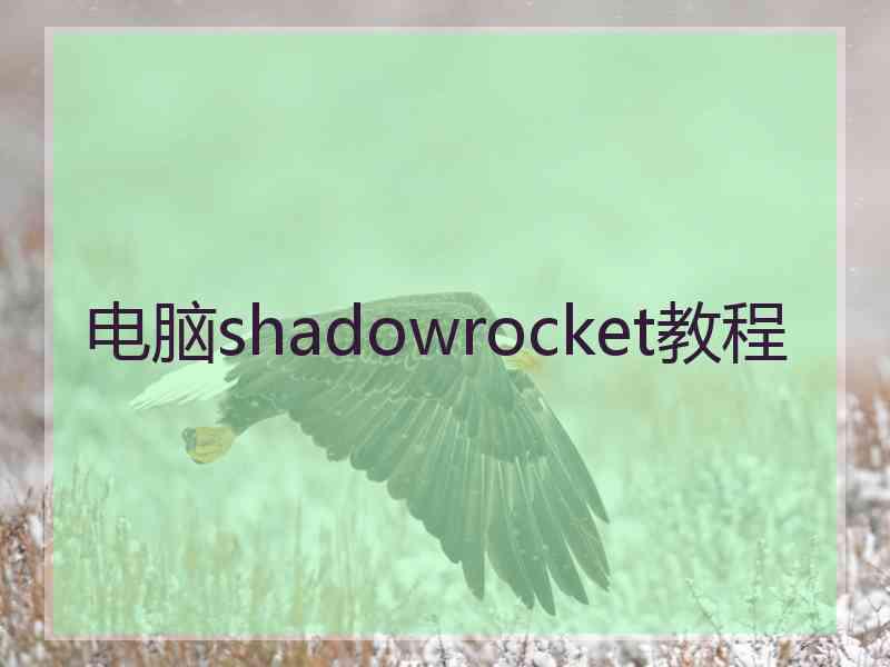 电脑shadowrocket教程