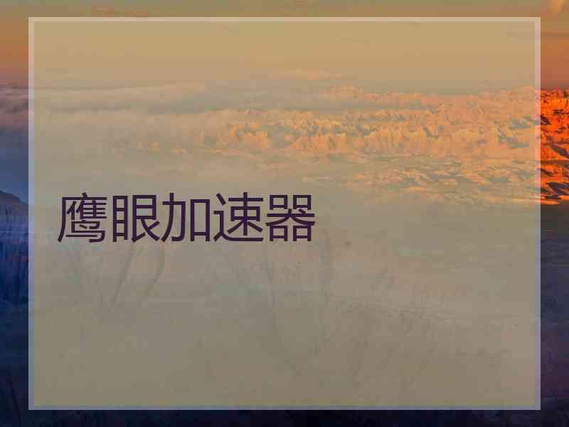 鹰眼加速器